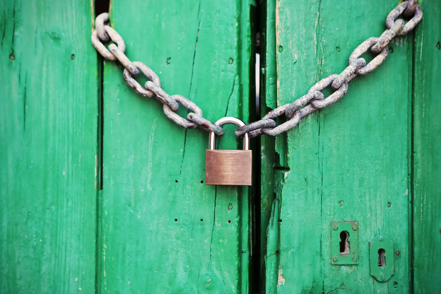Privacy Policy & Terms of Conditions